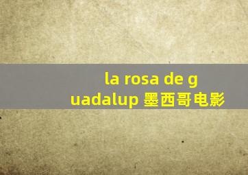 la rosa de guadalup 墨西哥电影